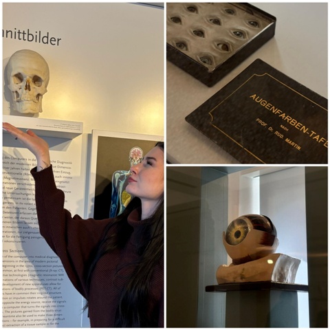 Charité Museum Berlin S24 4