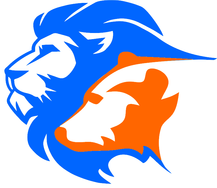 BSZ Logo
