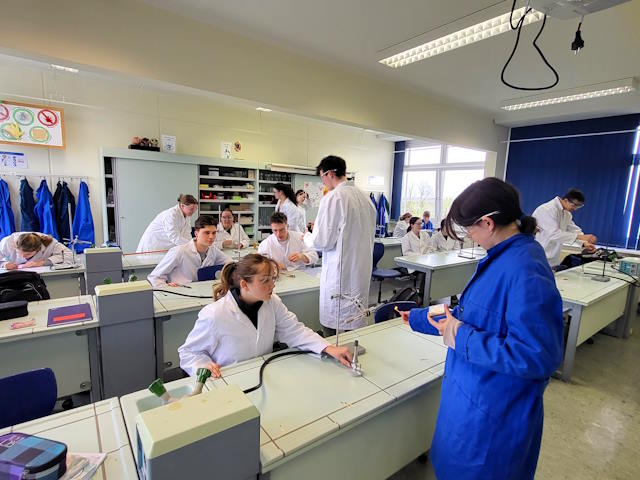 Ernährungswissenschaft Auswertung